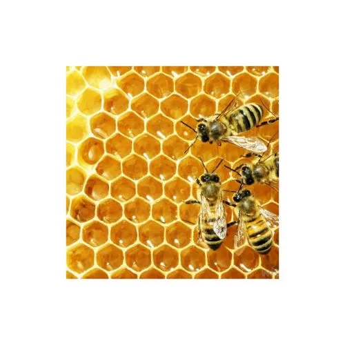 Alteya Organics Včelí vosk Cera Alba 100% Bio Alteya 60g