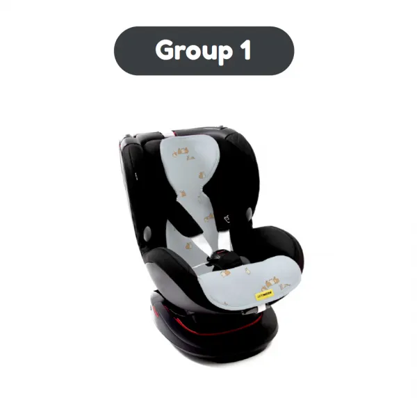 Aeromoov vložka proti poteniu do pokračovacej autosedačky Magnolia Limited