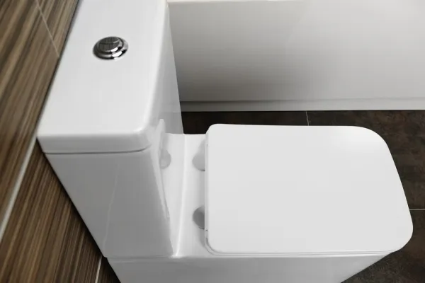 SAPHO - PORTO RIMLESS WC kombi, spodný/zadný odpad, biela PC102WR