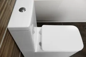 SAPHO - PORTO RIMLESS WC kombi, spodný/zadný odpad, biela PC102WR