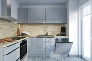 ArtExt Dvierka na umývačku riadu ESSEN | ZM 60 Farba korpusu: Grey