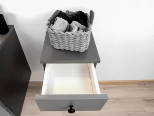 Artstolk Kúpeľňová skrinka nízka SENJA D30 S/1 | sivá