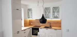 ArtExt Dvierka na umývačku riadu ZM/60 Tivoli Farba korpusu: Grey