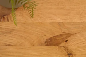 Konferenčný stolík THETIS Dekorhome Dub divoký