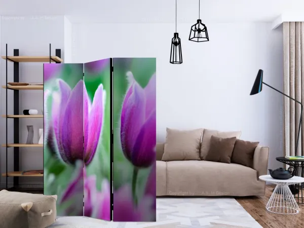 Paraván Purple spring tulips Dekorhome