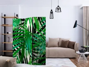 Paraván Tropical Leaves Dekorhome