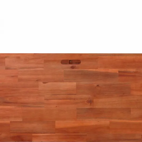 Vyvýšený záhon akácie Dekorhome 100x50x50 cm