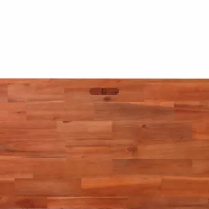 Vyvýšený záhon akácie Dekorhome 100x50x50 cm
