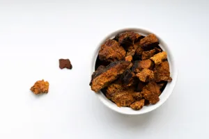 Čaga sibírska sušené kúsky (4-5 cm) - 200g - Herbatica