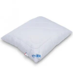 Vankúš ALOE VERA so zipsom 700 g