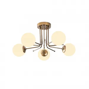 Luster Daisy - 146-AV2