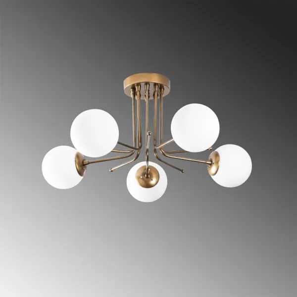 Luster Daisy - 146-AV2