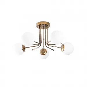 Luster Daisy - 146-AV2