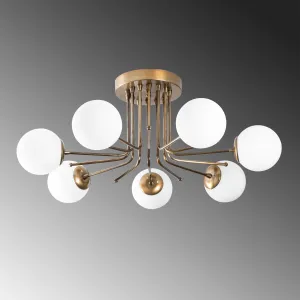 Luster Daisy - 146-AV