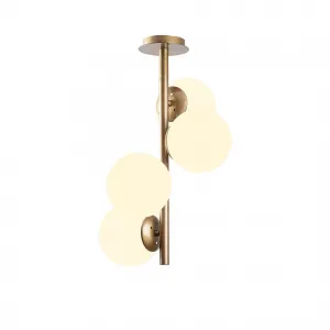 Luster Faze - NT - 138