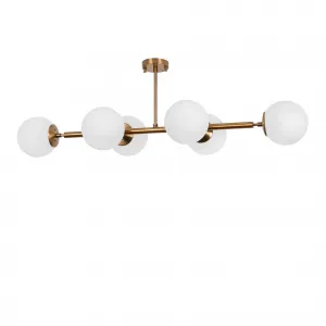 Luster Fazli - 10501