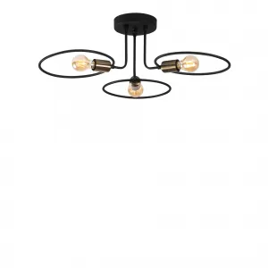 Luster Circle - 1341