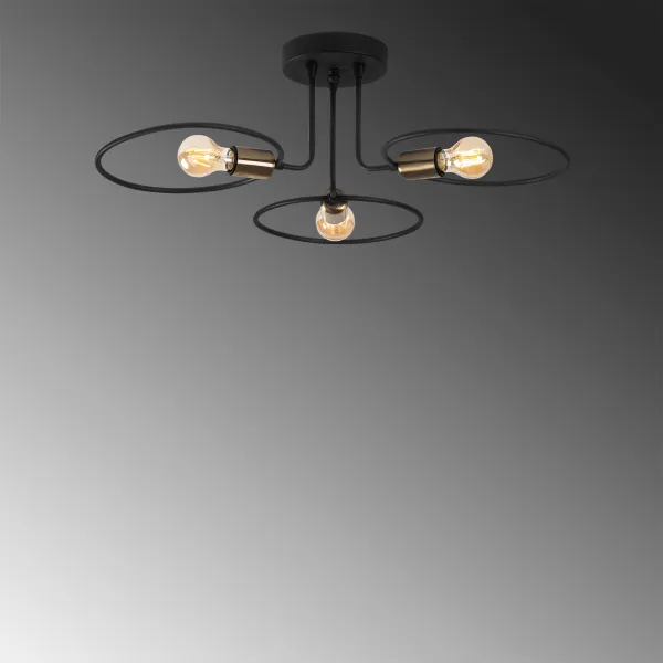 Luster Circle - 1341