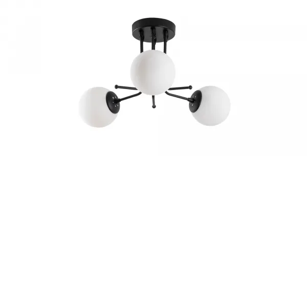 Luster Daisy-147-AV3