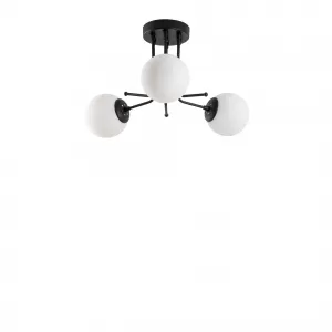 Luster Daisy-147-AV3