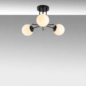 Luster Daisy-147-AV3