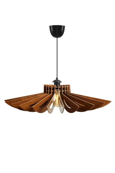 ASIR Luster 159-T orech