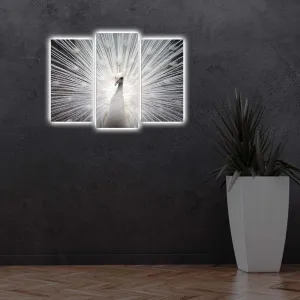 ASIR Obraz na plátne PÁV s LED podsvietením 66 cm