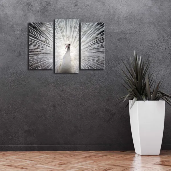 ASIR Obraz na plátne PÁV s LED podsvietením 66 cm