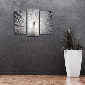 ASIR Obraz na plátne PÁV s LED podsvietením 66 cm
