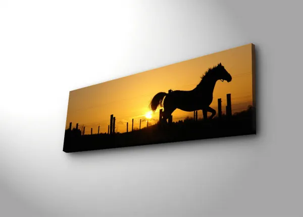 ASIR Obraz na plátne s LED podsvietením KÔŇ 30 cm