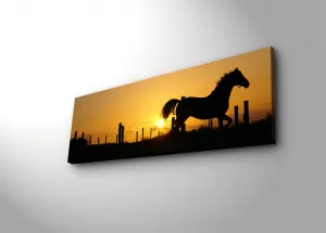 ASIR Obraz na plátne s LED podsvietením KÔŇ 30 cm