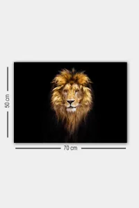 ASIR Obraz na plátne LEV 50 cm