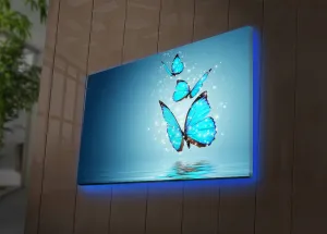 ASIR Obraz na plátne s LED podsvietením MOTÝLE 45 cm