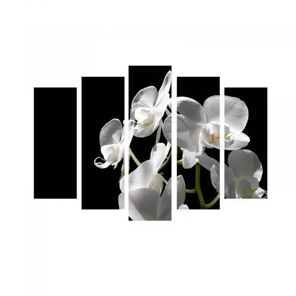 ASIR Súbor nástenných obrazov na plátne BIELA ORCHIDEA 105 cm