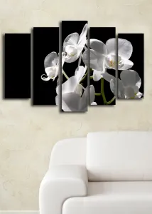 ASIR Súbor nástenných obrazov na plátne BIELA ORCHIDEA 105 cm