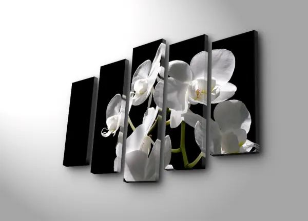ASIR Súbor nástenných obrazov na plátne BIELA ORCHIDEA 105 cm