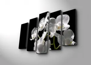 ASIR Súbor nástenných obrazov na plátne BIELA ORCHIDEA 105 cm