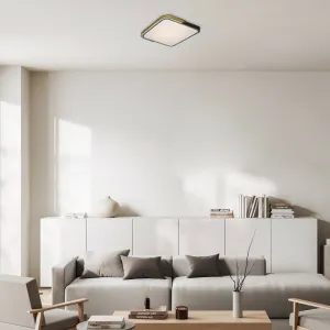 Rabalux 71146 stropné svietidlo Arild