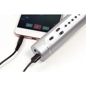 Mikrofón karaoke Bluetooth strieborný
