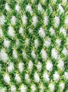 Auto-Mow Hybrid Grass - Hybridný trávnik Rozmer trávnika: metráž  (20m max)