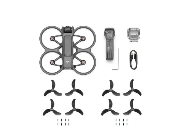 DJI Avata 2 (Drone Only) CP.FP.00000149.01