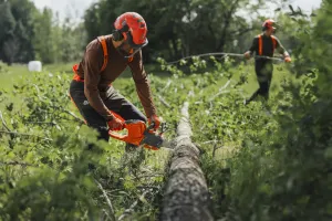 AKUMULÁTOROVÁ PÍLA Husqvarna 435i bez akumulátora a nabíjačky