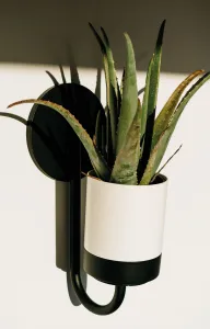 Prosperplast Sada 3 květináčů na zeď BLOOMIEXER šedá/černá