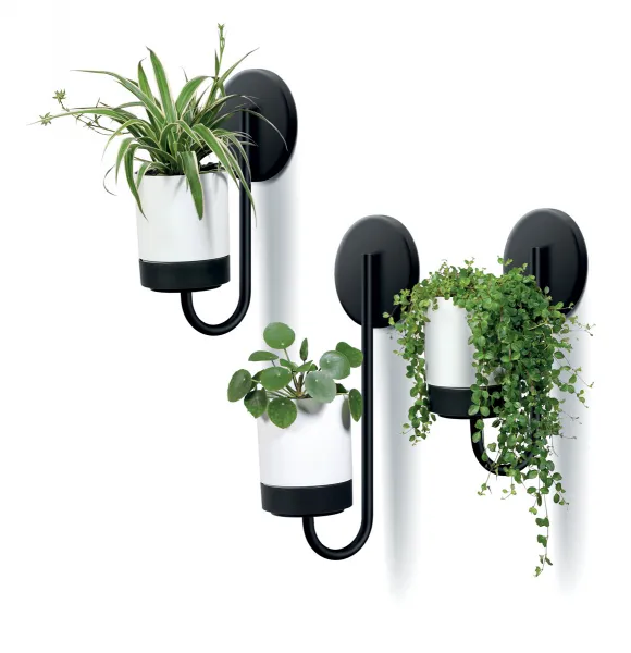 Prosperplast Nástěnný květináč BLOOMIEXER bílý/černý, varianta ikbh800-s449