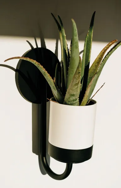 Prosperplast Nástěnný květináč BLOOMIEXER bílý/černý, varianta ikbh800-s449