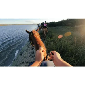 GoPro Head Strap 2.0 ACHOM-002-VN