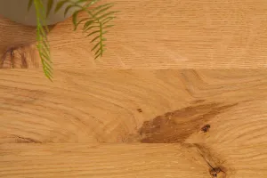 Konferenčný stolík THETIS Dekorhome Dub divoký
