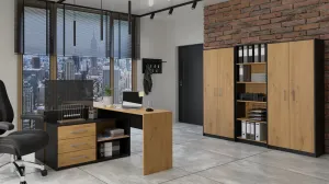 TP Living Knižnica OLIV 2D antracit/dub artisan