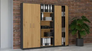 TP Living Knižnica OLIV 2D antracit/dub artisan