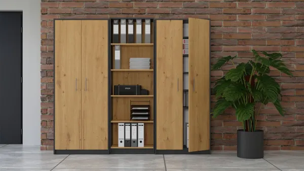TP Living Knižnica OLIV 2D antracit/dub artisan